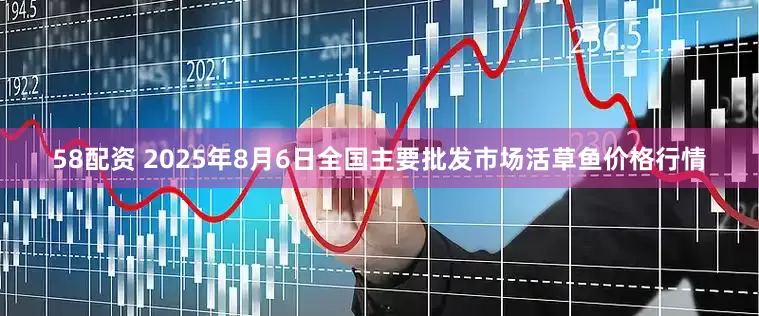 58配资 2025年8月6日全国主要批发市场活草鱼价格行情