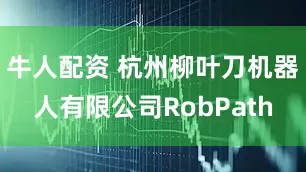 牛人配资 杭州柳叶刀机器人有限公司RobPath
